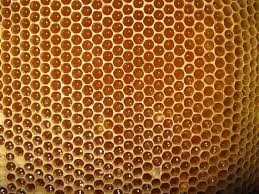 تولید و فروش موم خالص عسل