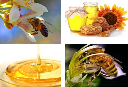عسل طبیعی خالص