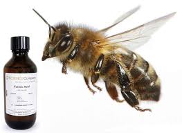 داروی زنبورعسل