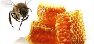 محصولات زنبورعسل