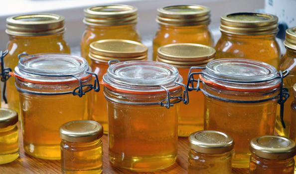 فروش عسل طبیعی چهل گیاه در حجم های مختلف