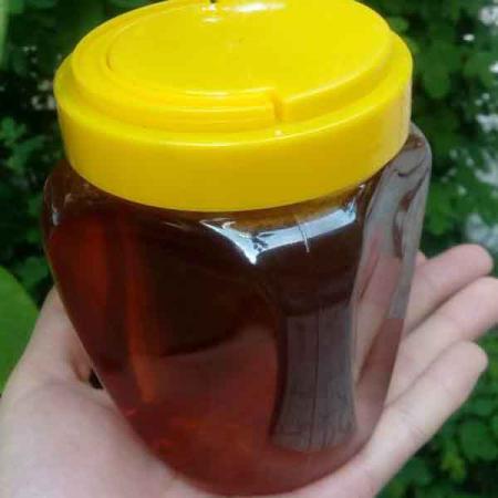 راهنمای نگهداری از عسل ارگانیک