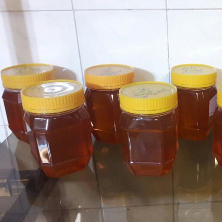 خرید عسل ارگانیک | عرضه مستقیم عسل در کشور