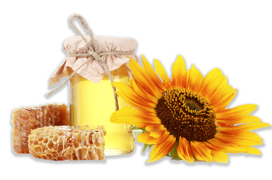 خرید اینترتنی عسل طبیعی