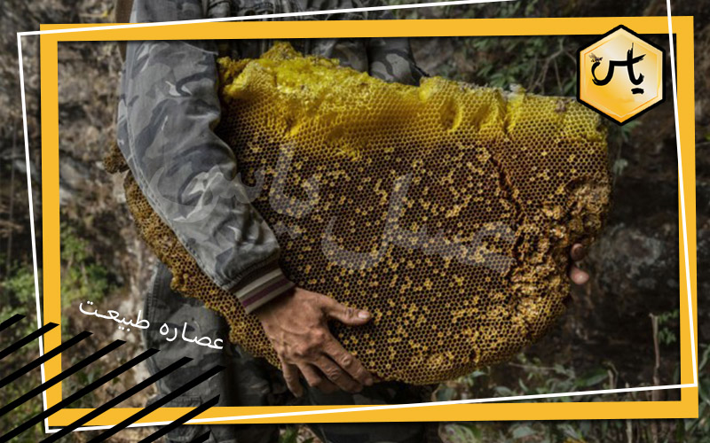 قیمت عسل وحشی کردستان